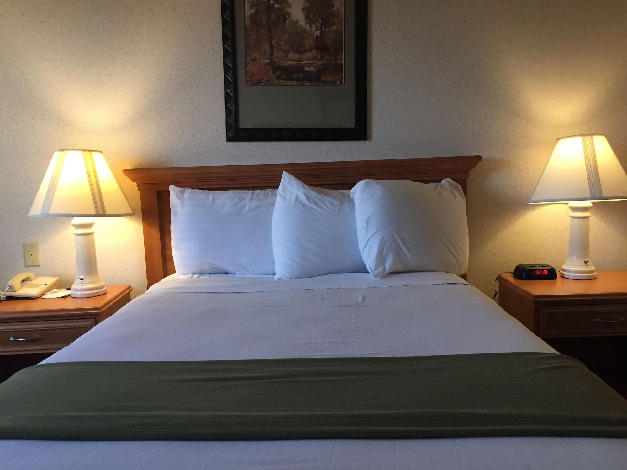 Quality Inn & Suites Willows Buitenkant foto