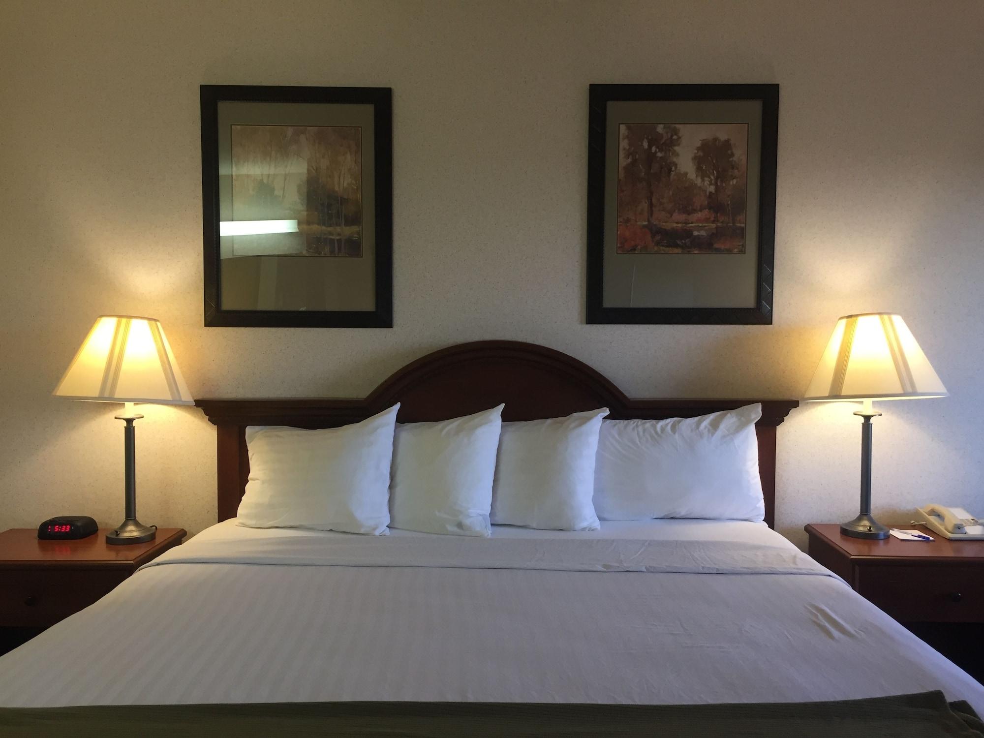 Quality Inn & Suites Willows Buitenkant foto